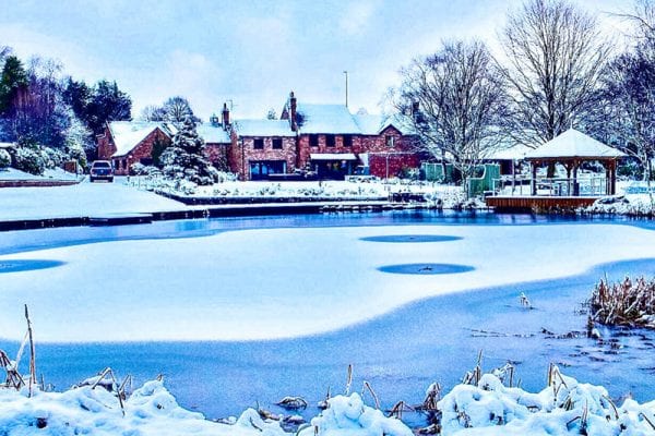 Christmas at Moddershall Oaks