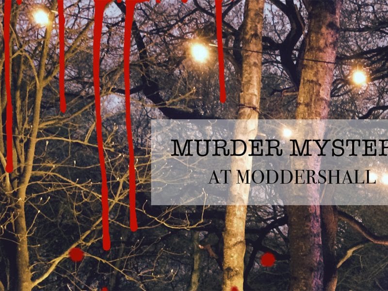 murder_mystery_event